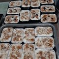 Cooksnap dari yosepha defi untuk resep Klappertart panggang