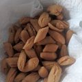 Cooksnap dari Natasya Wimar untuk resep Kue biji ketapang