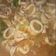Cooksnap dari radianmaya untuk resep Cumi Saus Padang