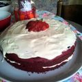 alyse.lendvai's cooksnap of when they made Paula Deen's Red Velvet Cake.
