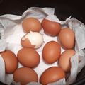 Cooksnap dari Amalia Octaviani untuk resep Telur rebus simple ala magiccom