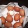 Cooksnap dari Amalia Octaviani untuk resep Telur rebus simple ala magiccom