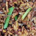Cooksnap dari Anita Wulandari untuk resep Kering Tempe Pedas Manis