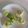 15161234's cooksnap of when they made Easy Deviled Avocado Eggs.
