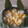 Cooksnap dari 💕Avista Dewi💞 untuk resep GRONTOL JAGUNG Manis (Urap jagung)