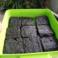 Cooksnap dari Wiliya Karmila untuk resep Bolu ketan hitam kukus simpel