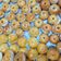 Cooksnap dari Sri Handayani Tan untuk resep Skippi Cookies (Cookie selai kacang)