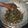 Cooksnap dari kresna dinata untuk resep Tumis kangkung saus tiram