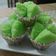 Cooksnap dari Anggaraputra Anggara untuk resep Kue mangkok berbunga