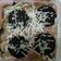 Cooksnap dari Putriamalia untuk resep Oreo Mini Dessert Box