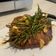 Cooksnap dari Dilla Anindita 🇮🇩 untuk resep Rosemary Steak