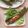 Cooksnap dari Tituk SK untuk resep NASI BAKAR IKAN TERI KEMANGI