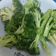 無舒 的 清炒西蘭花（低醣生酮餐）（方便素）（簡單料理） cooksnap