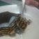 Cooksnap dari Mhelyn Quiinn untuk resep Puding coklat crispy