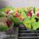 Cooksnap dari Yuni untuk resep Bolu Kukus Santan Mekar