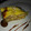 El cooksnap de Maria Flores cuando hizo Torta de vainillas,dulce de leche y crema.