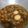 Cooksnap dari Anissa Putrinda untuk resep Semur Tempe Telur