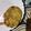 El cooksnap de viva_adriana@hotmail.com cuando hizo Tortitas de patata y brócoli con queso.