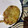 El cooksnap de viva_adriana@hotmail.com cuando hizo Tortitas de patata y brócoli con queso.