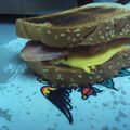ihatecooking2's cooksnap of when they made Tinklee's Hot Ham and Cheese Sandwiches.
