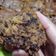 Cooksnap dari Ummu Fathe untuk resep Banana bread (oven tangkring)