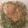 dailycooking's cooksnap of when they made Simple, Easy, Delicious Lemon Garlic Roast Chicken.