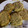El cooksnap de Karen MF cuando hizo Galletas de Avena, pasas de uvas y manzana. ♡.
