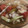 El cooksnap de Eduardo Agudo Alba cuando hizo Mini ensalada de tomate, rábano y pepinillo.