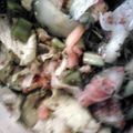 Gutman's cooksnap of when they made Indian cucumber salad.
