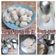 Minan Han 的 手工旗魚丸 cooksnap