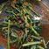Cooksnap dari M FATKHUR untuk resep Kangkung balacan