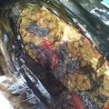 Cooksnap dari Fitria Ningsih untuk resep Ikan Woku Daun