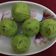 Dr. Pushpa Dixit's cooksnap of when they made પાન કોકોનટ લડ્ડૂ(Paan coconut ladoo recipe in Gujarati).