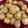 Cooksnap dari Josephine Lin untuk resep BAKSO TAHU Goreng tanpa daging