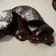 Cooksnap dari Noy untuk resep Chocolava steam cake diet ala keto/debm flourless cake