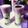 Cooksnap dari Septia Ria NanoSpray Mci untuk resep Boba dalgona taro latte