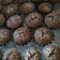 Cooksnap dari Maina Sari untuk resep 212. Brownies Kering 2 (Crunchy)
