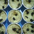 Cooksnap dari evi ramadhani untuk resep Puding Roti Kukus