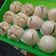 Cooksnap dari Debora Dwi untuk resep Bakpao mulussss dan superr lembuutt “resep Ny. Liem”