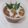 Cooksnap dari Bu Put (Putri Rahayu) untuk resep Bubur Candil ubi jalar