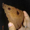 Cooksnap dari Pia untuk resep Brownis coklat magicom