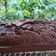 Cooksnap dari DapoerAy's untuk resep Brownies no DCC no mixer yang nyoklat dan enak banget 👌👍😊