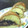 Cooksnap dari Amalia Ika untuk resep Martabak Bolu 