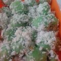 Cooksnap dari Imelda Veronica Rahardja untuk resep Klepon (Jajan Pasar)