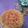 Cooksnap dari VALEN PANDU untuk resep Pizza Mie (Omelette Mie telur)