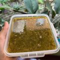 Cooksnap dari Dita untuk resep Sup Kimlo Jamur kuping