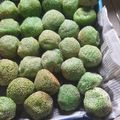 Cooksnap dari jeeni untuk resep Onde onde