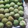 Cooksnap dari jeeni untuk resep Onde onde