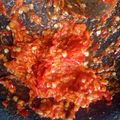 Cooksnap dari novita dwi hastuti untuk resep Sambal Soto