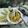 ÝTumpa Bose's cooksnap of when they made চিঁড়ের পোলাও (chirer polao recipe in Bengali).